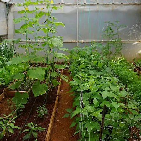 Close To Airport Apartment